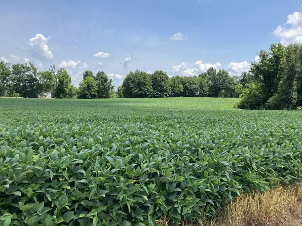 2690 Oak Grove Rd, Savannah, TN 38372