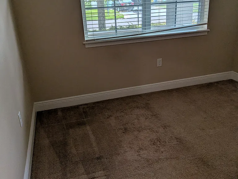 11517 Quiet Forest Dr — Photo 56