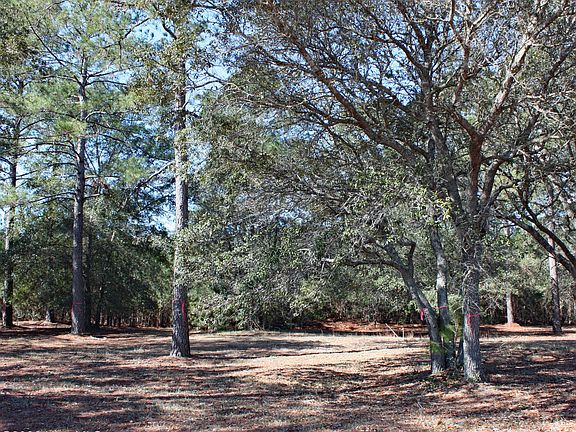 2nd image of 7483 Haddington Place SW LOT 74