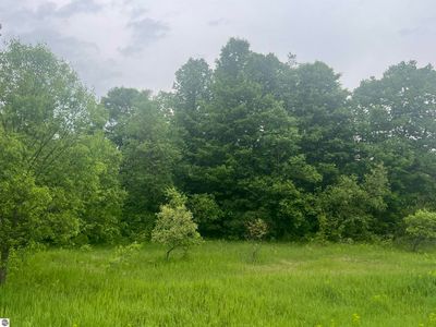 0 Wood Rd NE, Kalkaska, MI, 49646