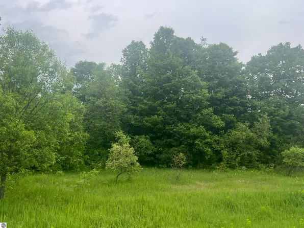 0 Wood Rd NE, Kalkaska, MI 49646