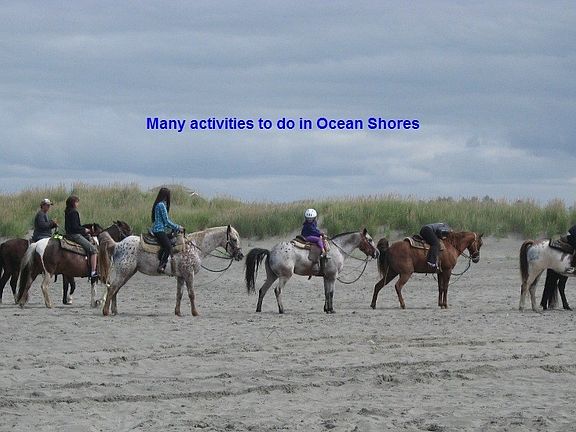 5th image of 987 S Sand Dune Ave SW