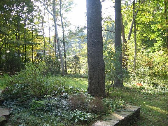 View of the lawn from driveway