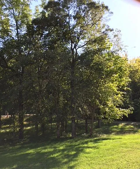 3850 N Oberlin Valley Rd — Photo 4