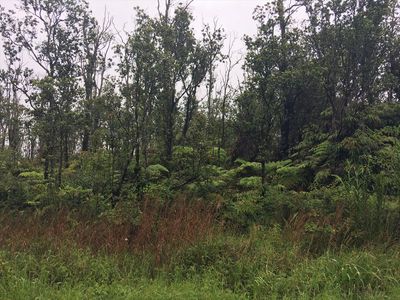 11 2301st #17, Volcano, HI, 96785