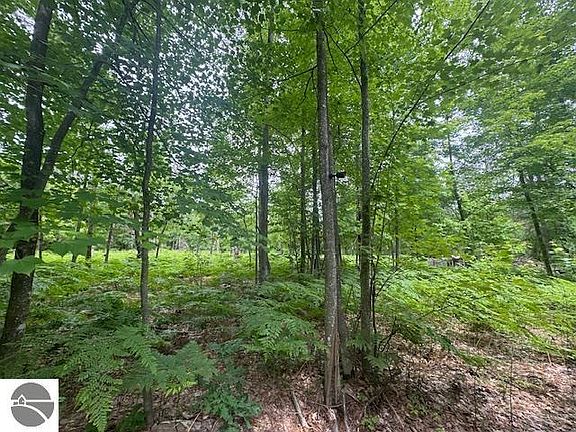 5th image of 10384 W Rosted Rd