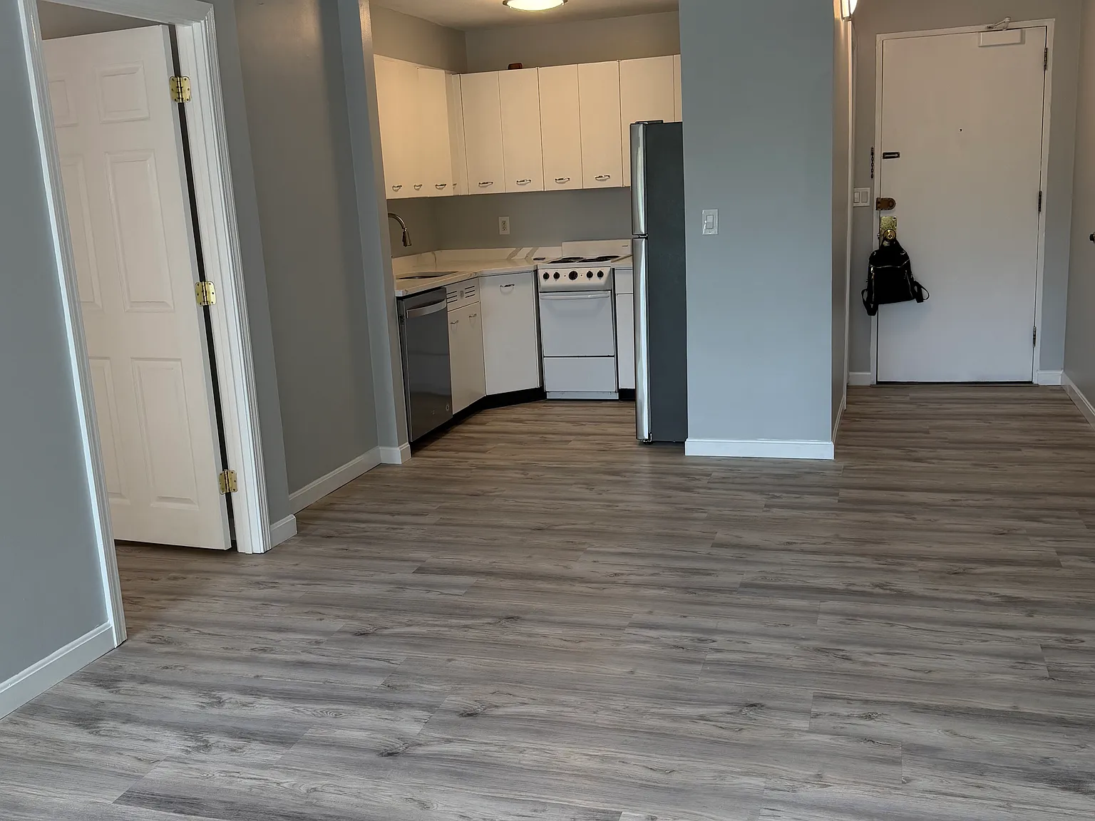 1 bed, 495 sqft, $3,000 — Photo 2