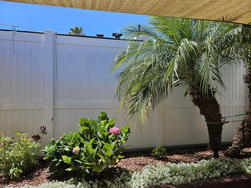 Backyard planter.