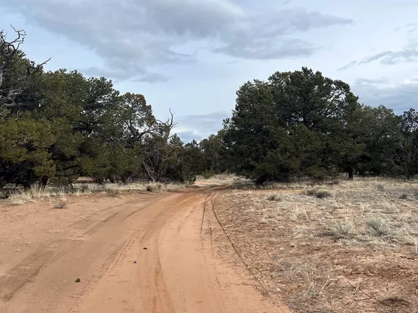 26 Big Tooth Dr, Pie Town, NM 87827