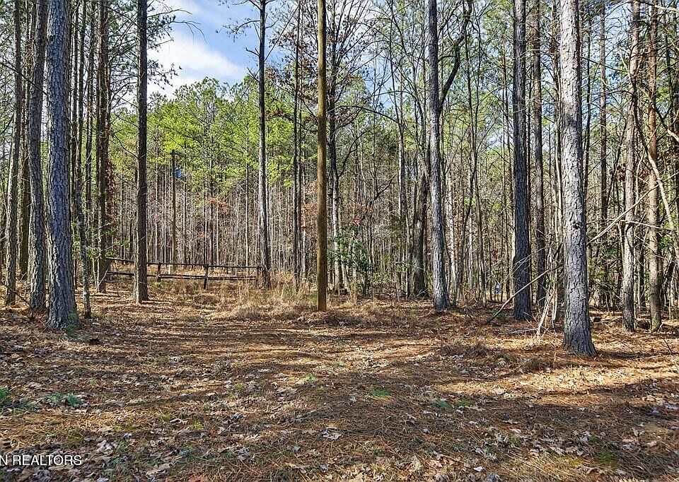 25th image of this home