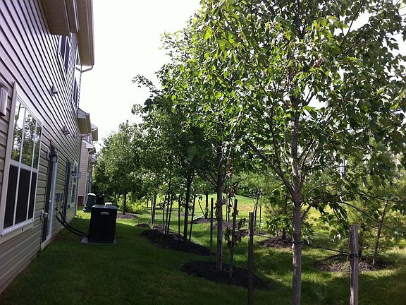 2nd image of 11184 Wortham Crest Cir #100