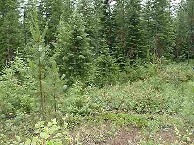 2nd image of 211 Xx Hwy