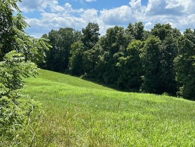 Wood Rd, Chesterhill, OH, 43728