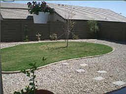 Landscaped backyard