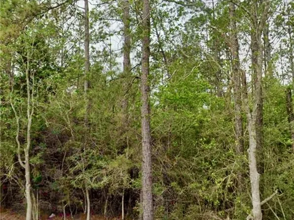 LOT 3 Sandy Ln, Dequincy, LA 70633