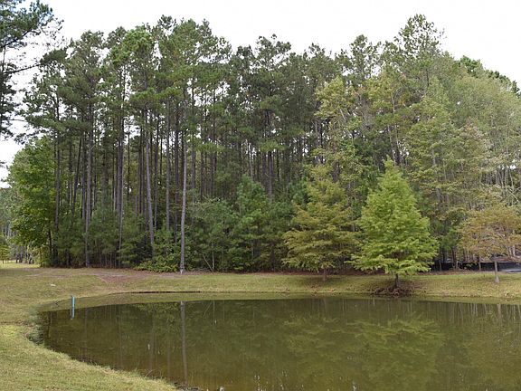 View to Back of Lot