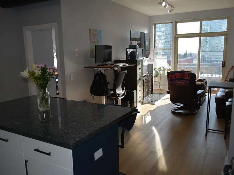 Kitchen/Living Room overview