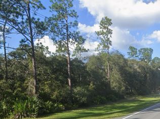 0 315th Hwy, Fort Mc Coy, FL 32134