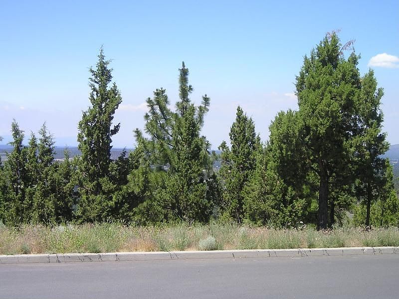 2nd image of 1398 NW Remarkable Dr
