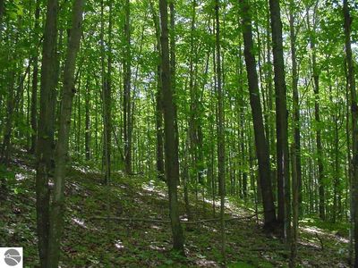 0 Fryzelka Rd, Buckley, MI, 49620