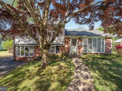 262 Lewis Rd, Springfield, PA, 19064