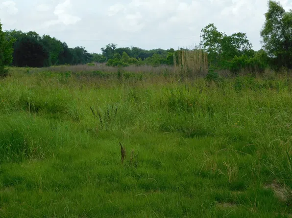 Highway 308, Larose, LA 70373