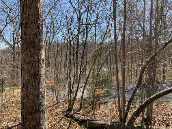 L-80 Norris Shores Dr, Sharps Chapel, TN 37866