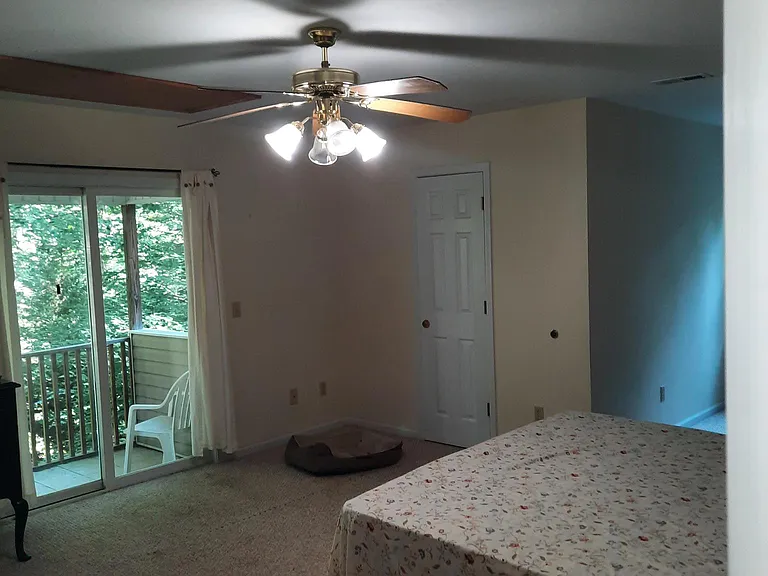 370 Timberline Dr — Photo 22