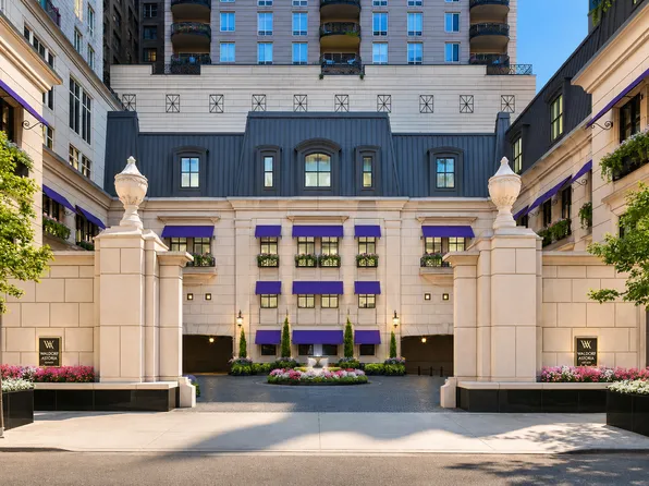 11 E Walton St APT 4102, Chicago, IL 60611
