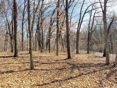 Lot 6 Big Lake Drive, Osceola, WI, 54020