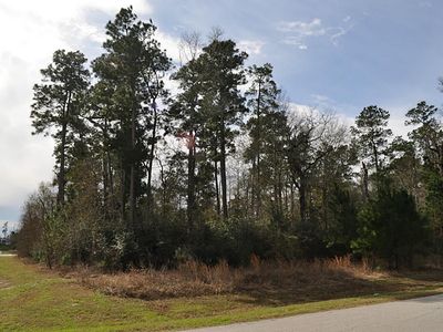 5106 Pine Wood Meadows Ln, Spring, TX, 77386