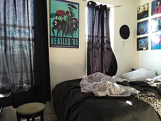 Rented by P Management