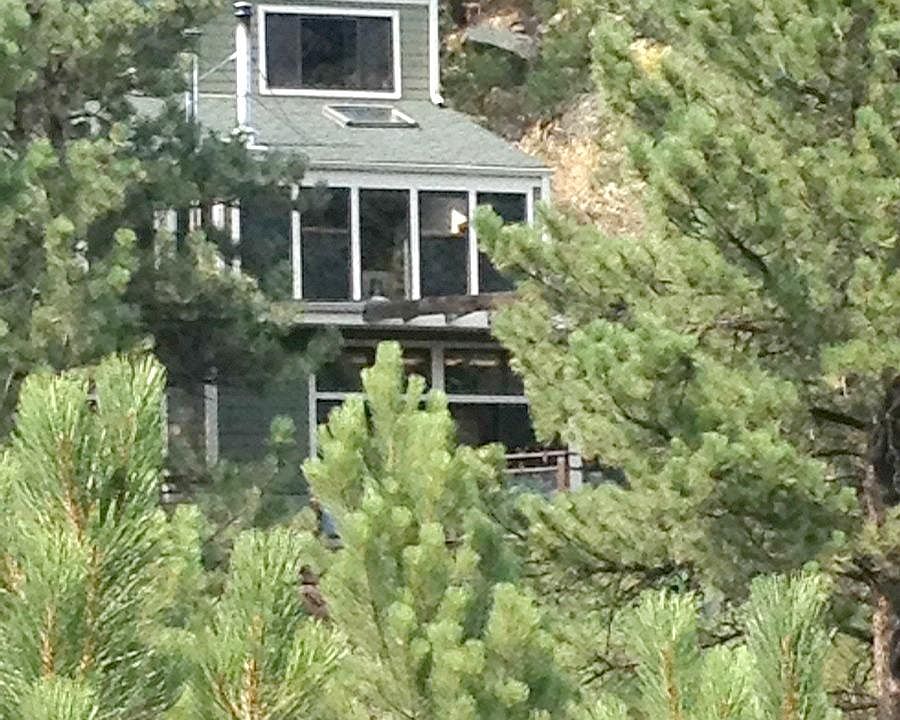 The house