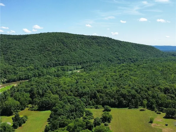 179 Bennett Rd Lot 1-3, Pine City, NY 14871