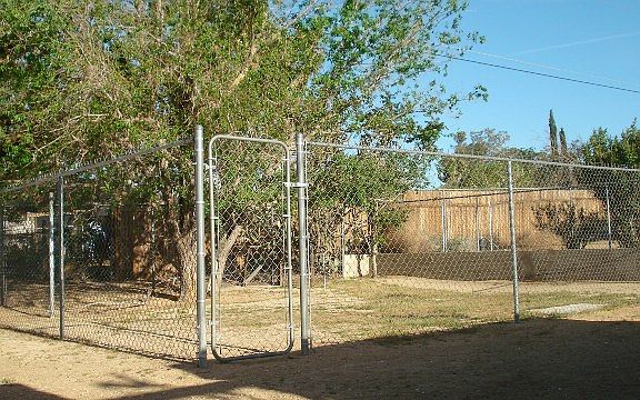 Dogs own yard fenced