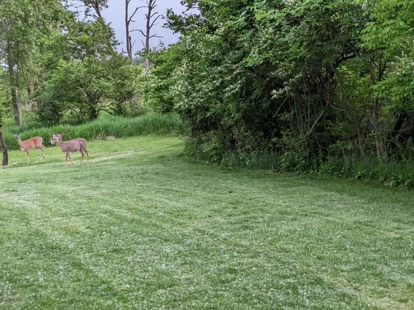 3306 E Forestview Trl, Crete, IL 60417