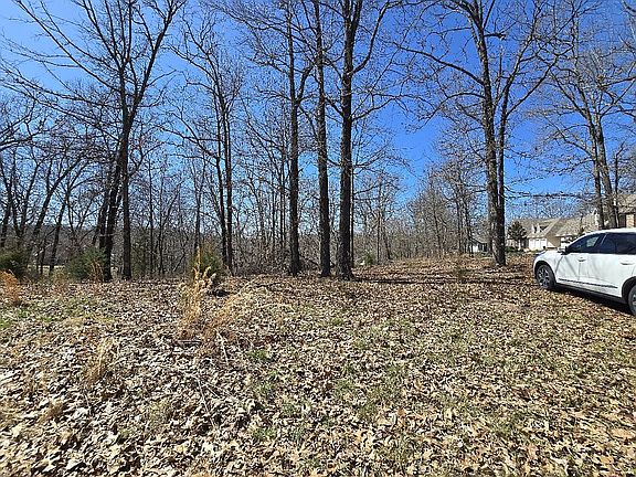 3rd image of 7949 Ozark Ridge Dr