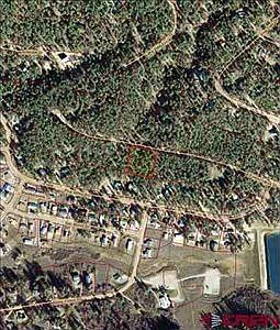 2nd image of 386 E Forest Lakes Dr