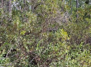 0 E ESCAMBIA State Road, Palatka, FL 32177