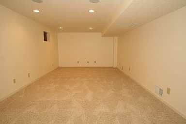 Rec Room (finished Basement)