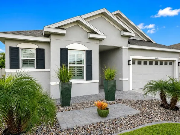 30875 Parrot Reef Ct, Wesley Chapel, FL 33545