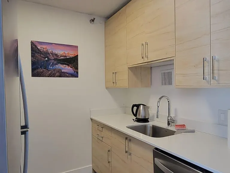 33 W Delaware Pl #13C — Photo 11