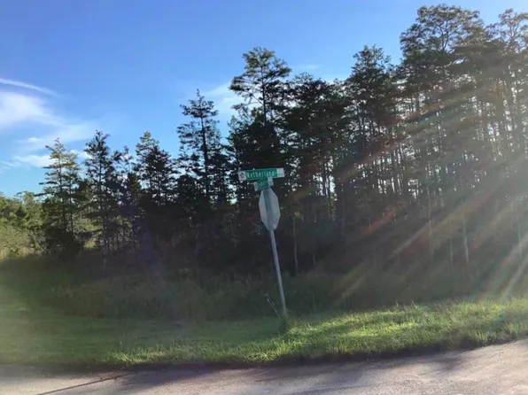 Netherland St Lot 22, Orlando, FL 32833