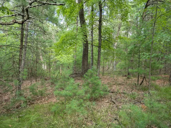 LOT 130 W 19th Ave, Arkdale, WI 54613