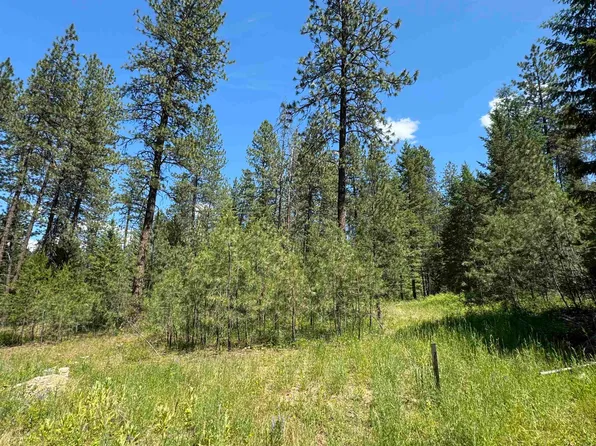 620 N A St Lot 1, Springdale, WA 99173