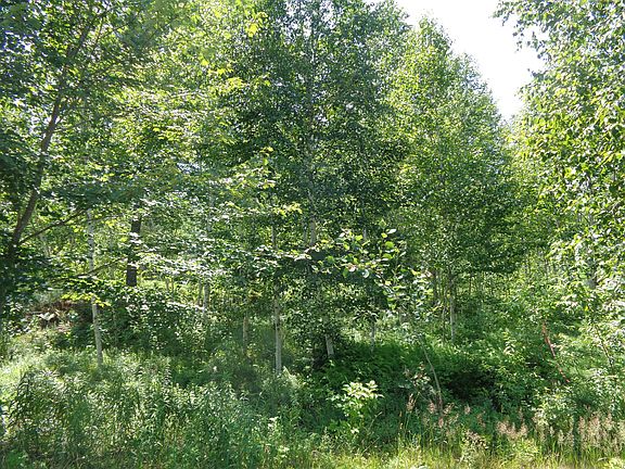 3rd image of Lot 16 Bailey Mountain Road