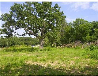 4th image of 6421 W State Highway 10