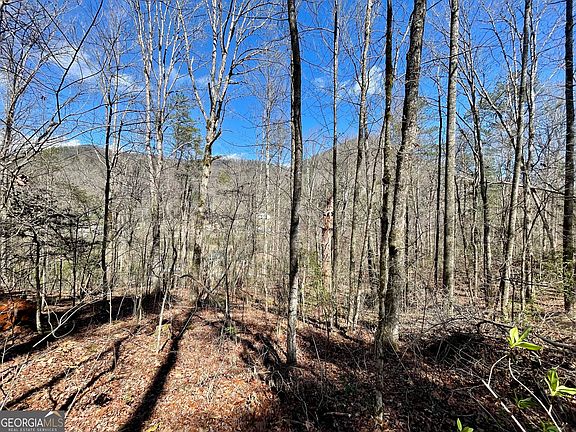 5th image of 0 Bridge Creek Rd