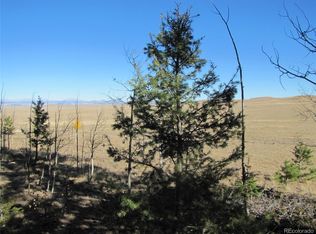 313 Aspen Ln, Hartsel, CO 80449