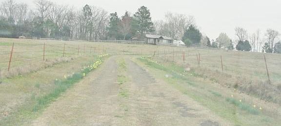 3rd image of 2459 County Road 3350